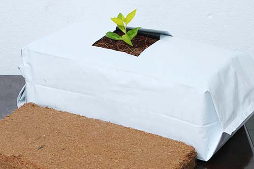 Source Hot Sale Good Quality Gro-Med Coco Peat Coir Grow Bags on  m.alibaba.com